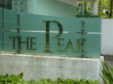 The Peak (D5), Condominium #1059232